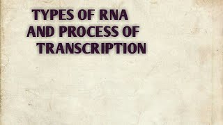 Types of RNA and process of transcription of class 12 [upl. by Claybourne536]