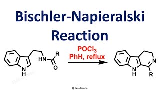 BischlerNapieralski Reaction [upl. by Head250]