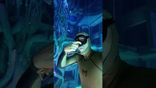 How to avoid ear pain when diving deep 🙉 earpain equalize equalization freediving underwater [upl. by Bozovich331]