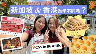 【新年快乐】新加坡和香港过年不一样 Singapore to Hong Kong any difference in celebrating New Year Ft kayusg600 [upl. by Nolak]