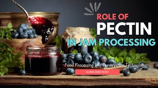 Role of Pectin in Jam Production [upl. by Aihsel558]