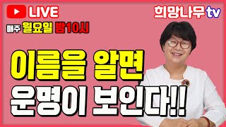 11월11일 희망나무 생방송 이름을 알면 운명이 보인다 [upl. by Nuahsyt]