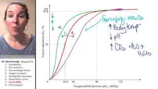 Gas exchange 7 Dissociation curve shifts [upl. by Mathian]