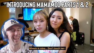 Mamamoo Reaction  Introducing Mamamoo Parts 1 amp 2 guide [upl. by Eadahc]