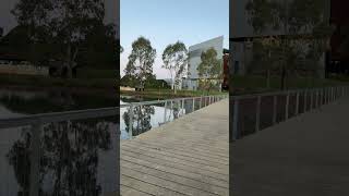 Shepparton Art museum and park lake [upl. by Gloriana]