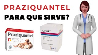 PRAZIQUANTEL que es y para que sirve praziquantel como usar praziquantel 600mg tablets [upl. by Paco]