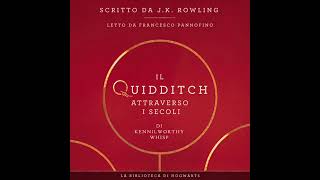 Il Quidditch attraverso i secoli Harry Potter audiolibro in italiano Francesco Pannofino [upl. by Esinrahc]