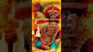 Mylapore kapaleeshwarar 🔥🔥🔥🔥🙏shivanstatus devotionalsongs [upl. by Enyawed]