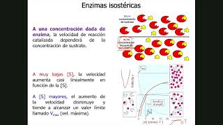 UFRPE Bioquímica Cinética Enzimática  Calculando Km e Vmax [upl. by Adilem]