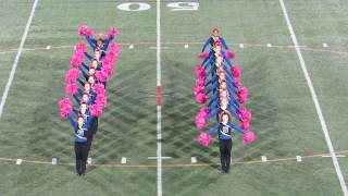 Gaithersburg Poms 100617 Halftime [upl. by Alasteir]