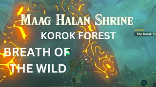 MAAG HALAN SHRINE KOROK FOREST THE LEGEND OF ZELDA BREATH OF THE WILD [upl. by Tilford]