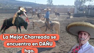 La MEJOR CHARREADA SE ENCUENTRA EN DAÑU HGO 🐎🐂 charreada 2024 [upl. by Reidid]