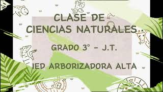 CLASE DE CIENCIAS NATURALES  GRADO 3° JT IED ARBORIZADORA ALTA  ANIMALES VERTEBRADOS [upl. by Gentes65]