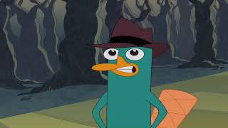 Perry the Platypus Trying to Communicate with Humans for 10 Hours [upl. by Annait584]