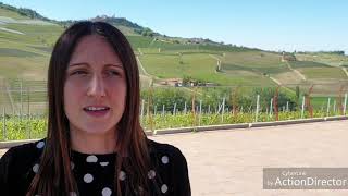 Interview with Federica Boffa of Fratelli Borgogno winery in Barolo [upl. by Aihsenot]