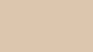 BEIGE SCREEN 1 HOUR [upl. by Also]