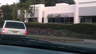 Dad takes the Mazda MPV minivan out for some Zoom Zoom [upl. by Notniv]