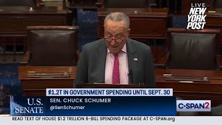 Sen Schumer calls on House republicans to move funding package ‘ASAP’ [upl. by Gnohp]