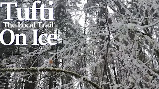 Tufti on Ice  Ice Storm on our Local Trail [upl. by Hebe]