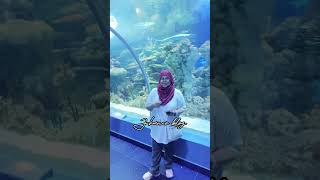 Visiting Fakieh Aquarium in Jeddah [upl. by Wirth]