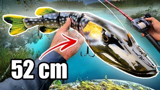 MONSTER vs Tiny Lures for PIKE FISHING 🔥 1000 g Swimbait [upl. by Byrn]