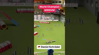 World Champion in Agility 2022  Daniel Schröder amp Cashew [upl. by Niamor704]