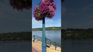 LIVE Riverwalk Test [upl. by Dloreh737]