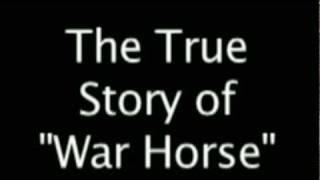 War Horse  The True Story [upl. by Rahas]