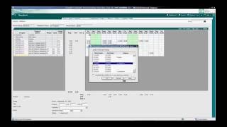 Deltek Vision  Timesheets  Doris Video [upl. by Kapeed29]