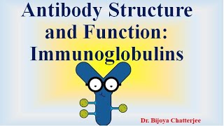 Antibody Structure and Functions [upl. by Annavas]