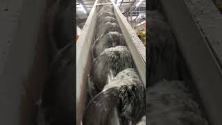 Densifying HDPE feed auger [upl. by Orola269]