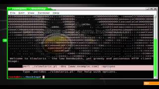 Dossare con BackTrack 5 R3 usando Slowloris [upl. by Essile]