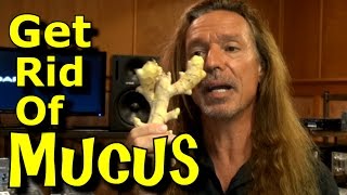 Mucus Relief For Singers Incredible Free Tips And Remedies For Singing Wellness Ken Tamplin Vocal [upl. by Namhar755]