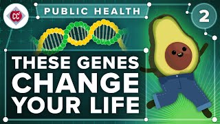 How Your Biology Affects Your Health Crash Course Public Health 2 [upl. by Anaihsat]