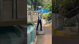 Mime does crazy stunt at SeaWorld 😂 [upl. by Anuait]