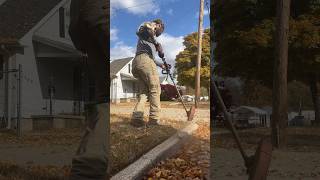 Weed wacker edging weedwacker lawnedging weedeater lawnmowers Lawncare leaves yardwork Lawn [upl. by Eelac406]