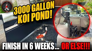 3000 GALLON KOI POND HAD TO BE DONE IN 6 WEEKS [upl. by Eelirak]