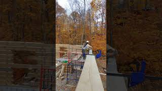 Placing a 20 ft  6m log with 350 lbs  160 kg by hand logcabin constructionlife diy [upl. by Polk]