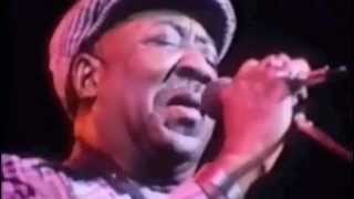 Muddy Waters  Mannish Boy Live  Amazing Version from Eric Claptons film Rolling hotel Manish Boy [upl. by Eilata]