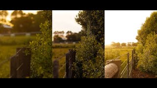 TTArtisan Lens Comparison  100mm 50mm 35mm 10mm [upl. by Seabrook]