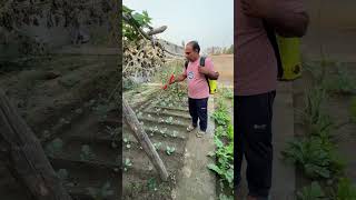 Sabjiyo Par Spray Ka Desi formula minivlogs dailyminivlogs villagelife palfamilyvlogs [upl. by Anelle]