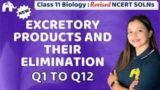 Excretory Products and their Elimination Class 11 Biology  NCERT Solutions Chapter 16 Question 112 [upl. by Ilera880]