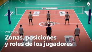 Las zonas las posiciones y los roles de los jugadores  Voleibol [upl. by Hamas535]