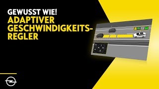 Adaptiver Geschwindigkeitsregler – Gewusst wie [upl. by August]