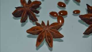 Star anise poisoning side effects [upl. by Mellicent]