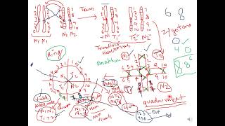 Mechanism of Translocation of chromosomes Part2 genetics botanylifescience botany zoology [upl. by Notrab642]