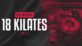 DJ Flea  18 Kilates Mix [upl. by Ellednahs]