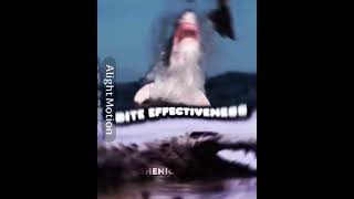 Carcharodon Carcharias V Gustave animals gustave greatwhite crocodile shark whoisstronger [upl. by Ahsitruc]