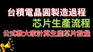 台積電晶圓製作過程台積電芯片生產流程簡單通俗易懂看懂芯片原理與設計講解公式讓大家在家就能計算晶圓與芯片產量euv光刻機產能如何12寸晶圓與8寸晶圓在實際生產中會有多少不同 [upl. by Arinayed]