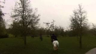 Pearson Eventing at The Ledbury Hunt Opening Meet 7th November 2014 [upl. by Atnauqahs]